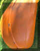 Orange_beetle_bonnet_vented_1300_5.JPG (442706 bytes)