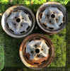 gt_Beetle_wheels_special_edition_steel_wheels_beetle_standard__1.JPG (787602 bytes)