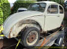 1966_vw_Beetle_Pigalle_Red_pearl_white_original_project_car_volkswagen_bug_dub_restoration__1.JPG (434330 bytes)