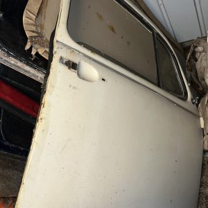Beetle Door