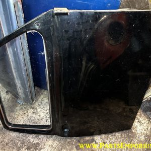 Beetle Door Right