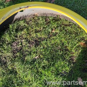 Beetle left front wing