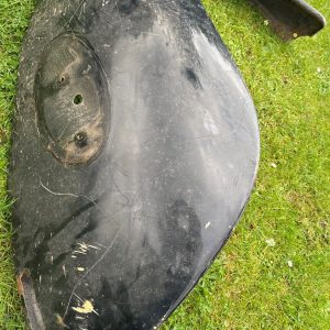 Beetle Right rear wing