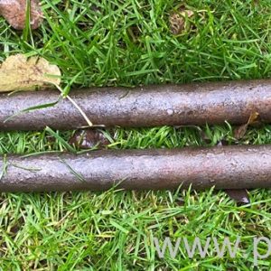 Beetle Swing Axle Drive Shafts