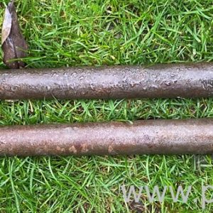Beetle Swing Axle Drive Shafts