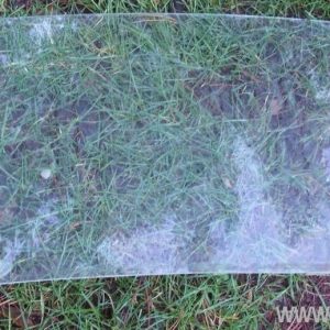 Beetle Windscreen / Rear Screen / side windows / door glass