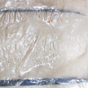 Jeans beetle Window Trim