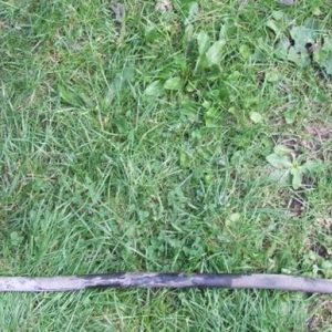 T25 Late (1989) front