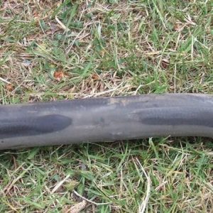 T25 t3 Caravelle  water pipe - 251 121 083g