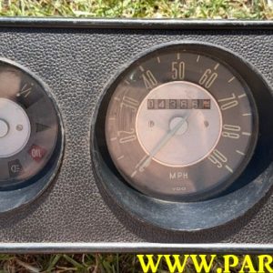 Early Grey Faced Bay Speedo Pod  043