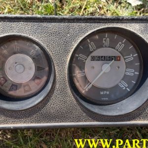 Early Grey Faced Bay Speedo Pod  064