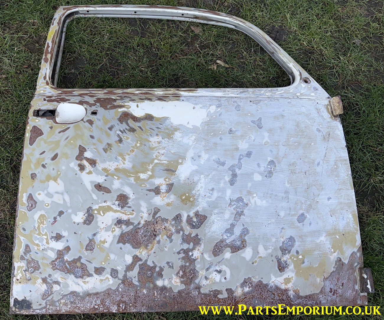 Beetle Door Bare (58)